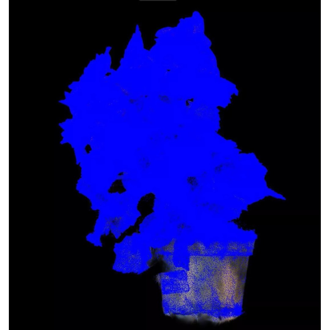Pink Begonia 3D Model – Gaussian Splat Scan for Real-Time Use - View 9