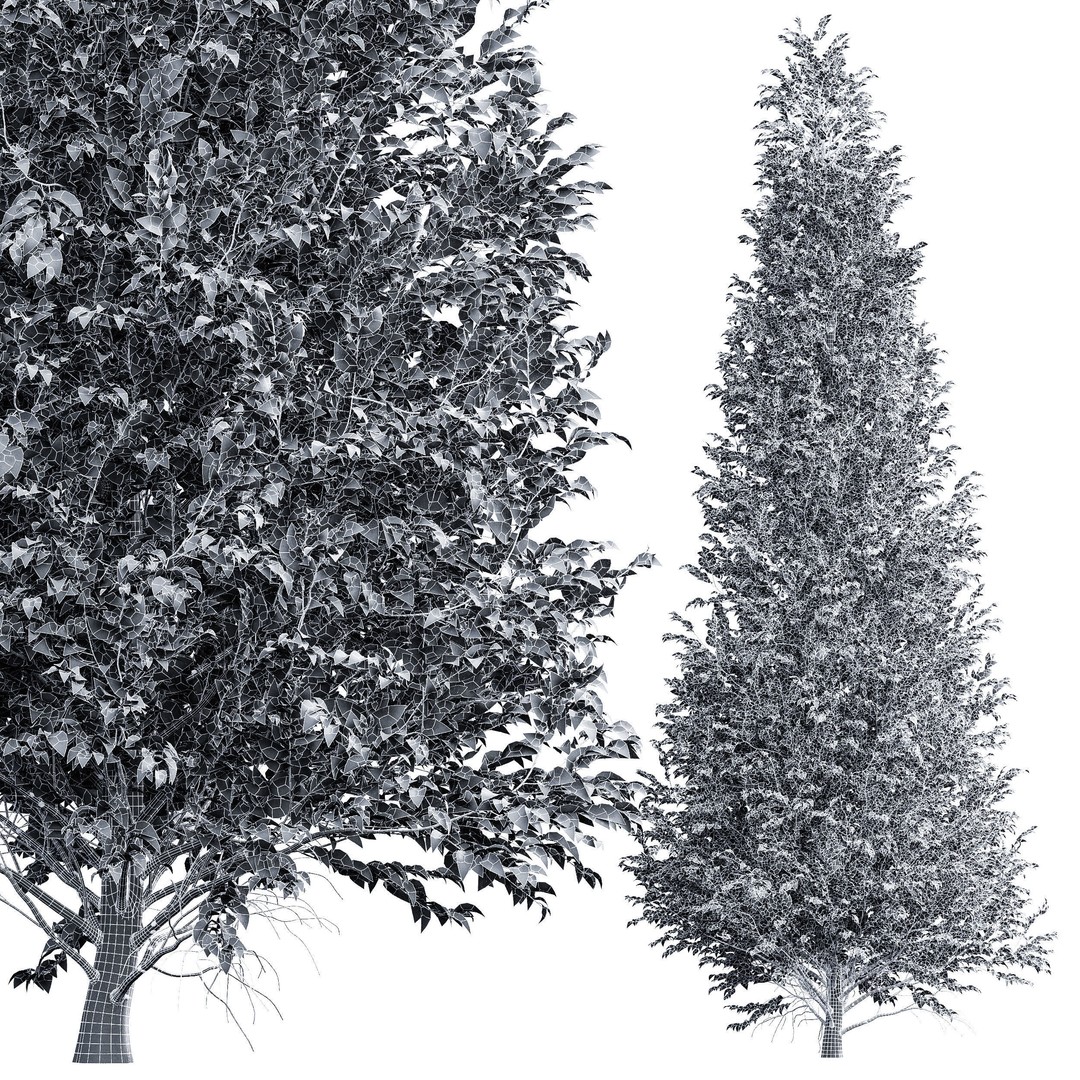 Carpinus Betulus 3D Model – High Poly Tree Asset, FBX & OBJ - View 6