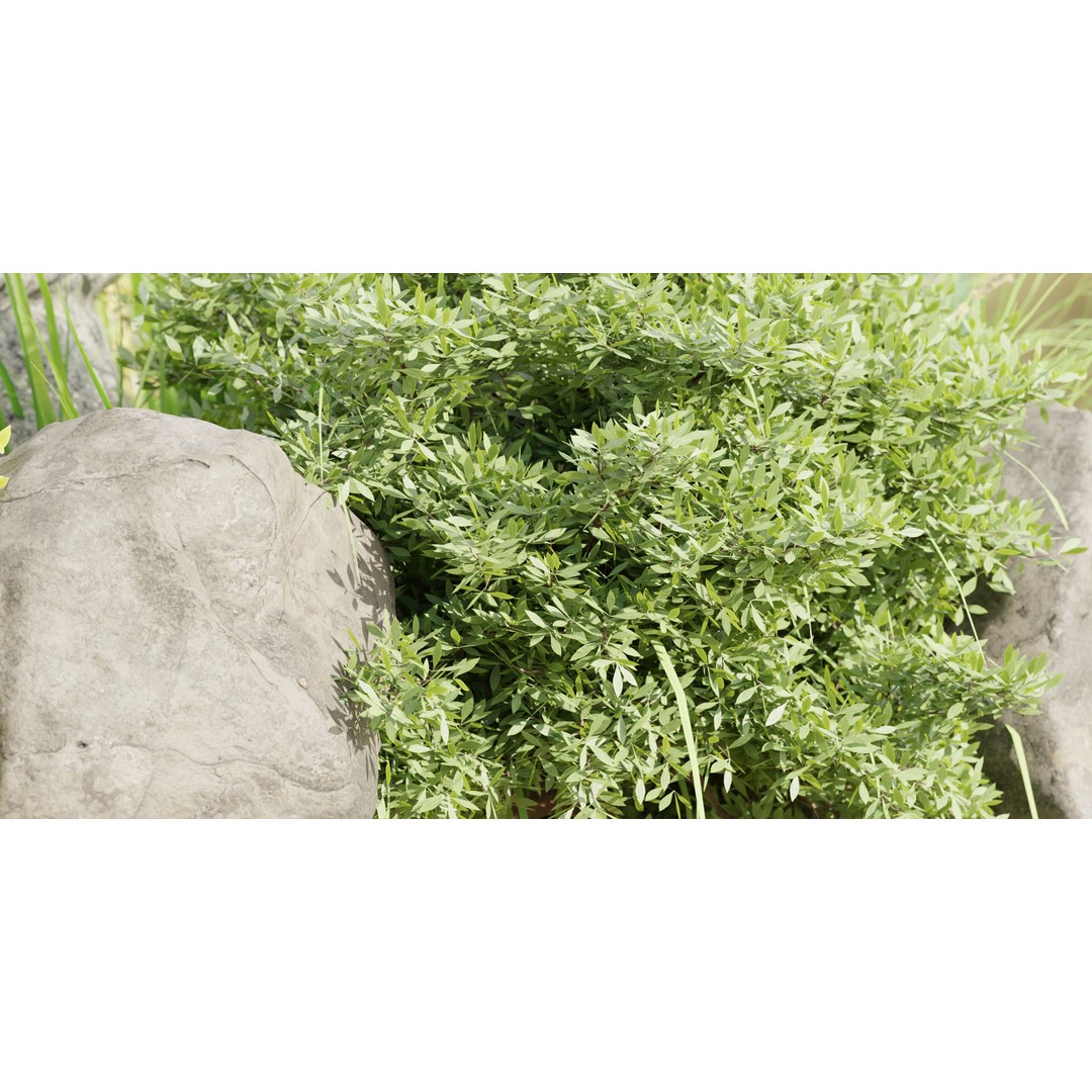 Paradise Landscape 3D Model – PBR Outdoor Environment, Blender - View 4