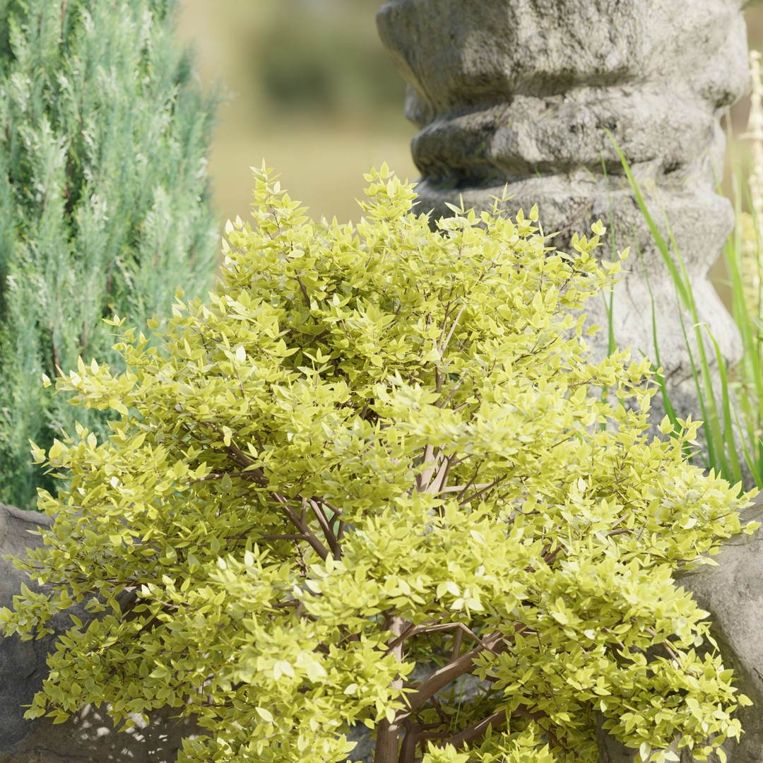 Paradise Landscape 3D Model – PBR Outdoor Environment, Blender - View 7