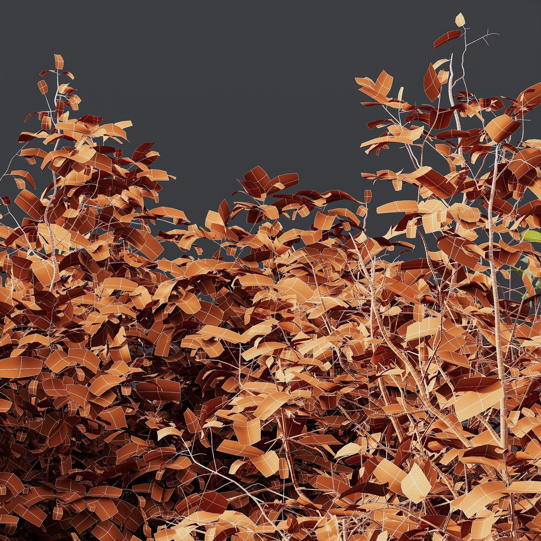 Cornus Sanguinea 3D Model – High Poly Plant Asset, FBX, OBJ