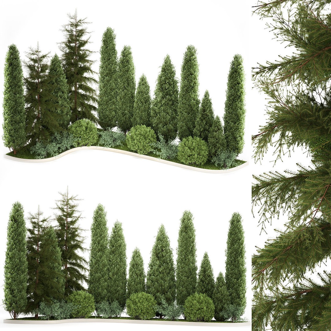 Cypress and Thuja Trees 3D Model – Decorative Landscaping Asset, FBX - View 3