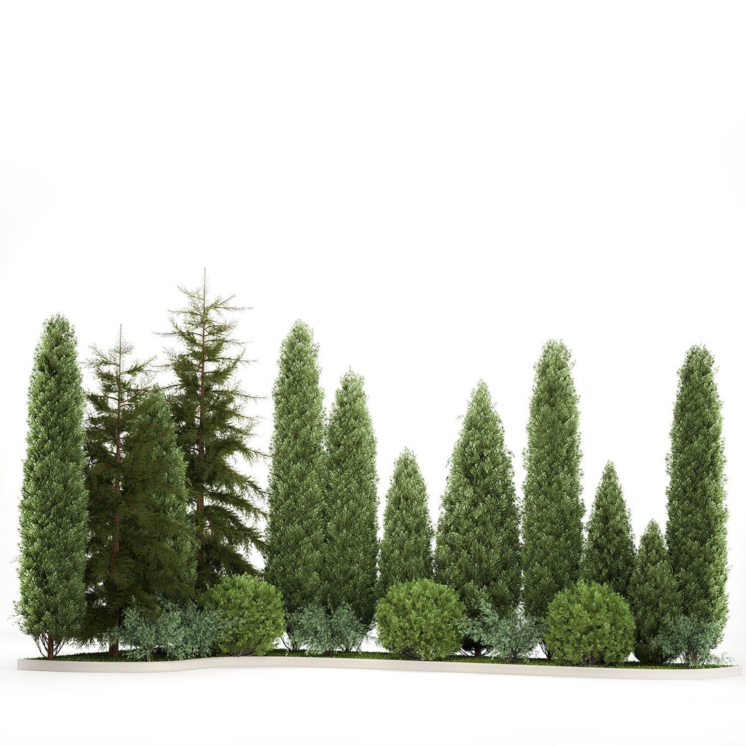 Cypress and Thuja Trees 3D Model – Decorative Landscaping Asset, FBX - View 4