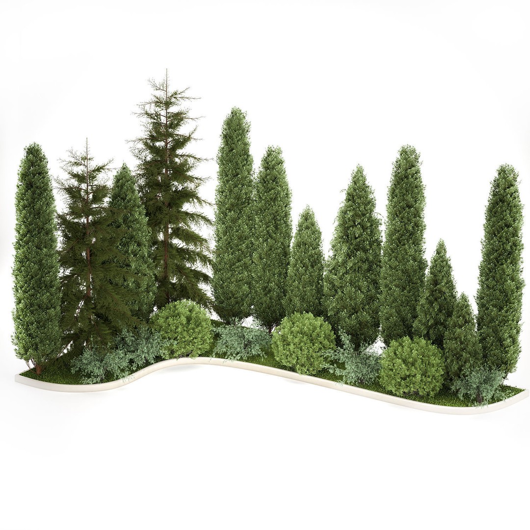 Cypress and Thuja Trees 3D Model – Decorative Landscaping Asset, FBX - View 5