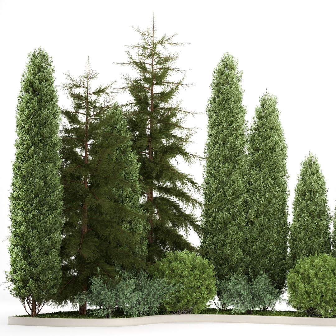 Cypress and Thuja Trees 3D Model – Decorative Landscaping Asset, FBX - View 6