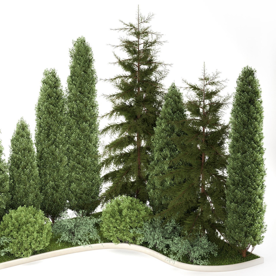 Cypress and Thuja Trees 3D Model – Decorative Landscaping Asset, FBX - View 8