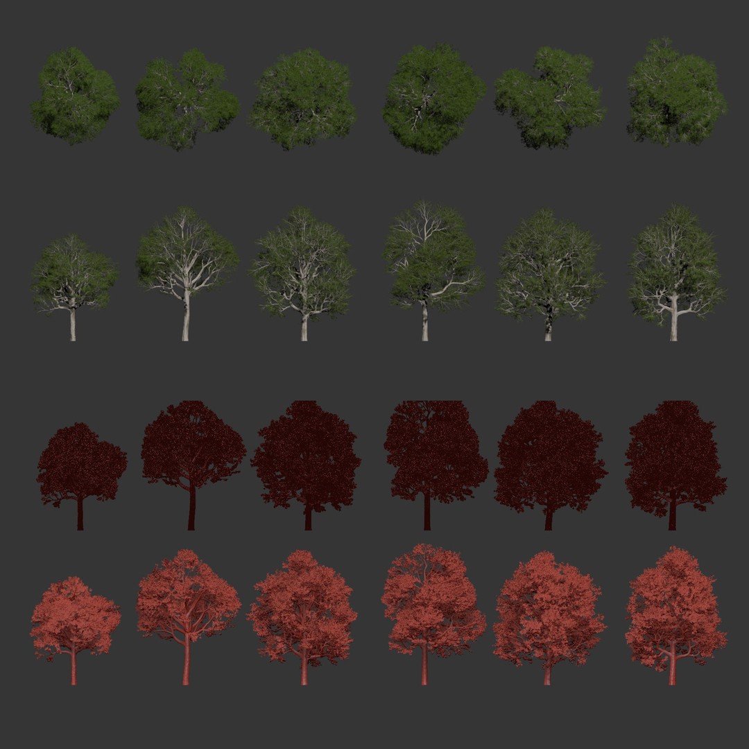 Trees 3D Model – Nature Collection, PBR Textures, FBX, OBJ - View 13