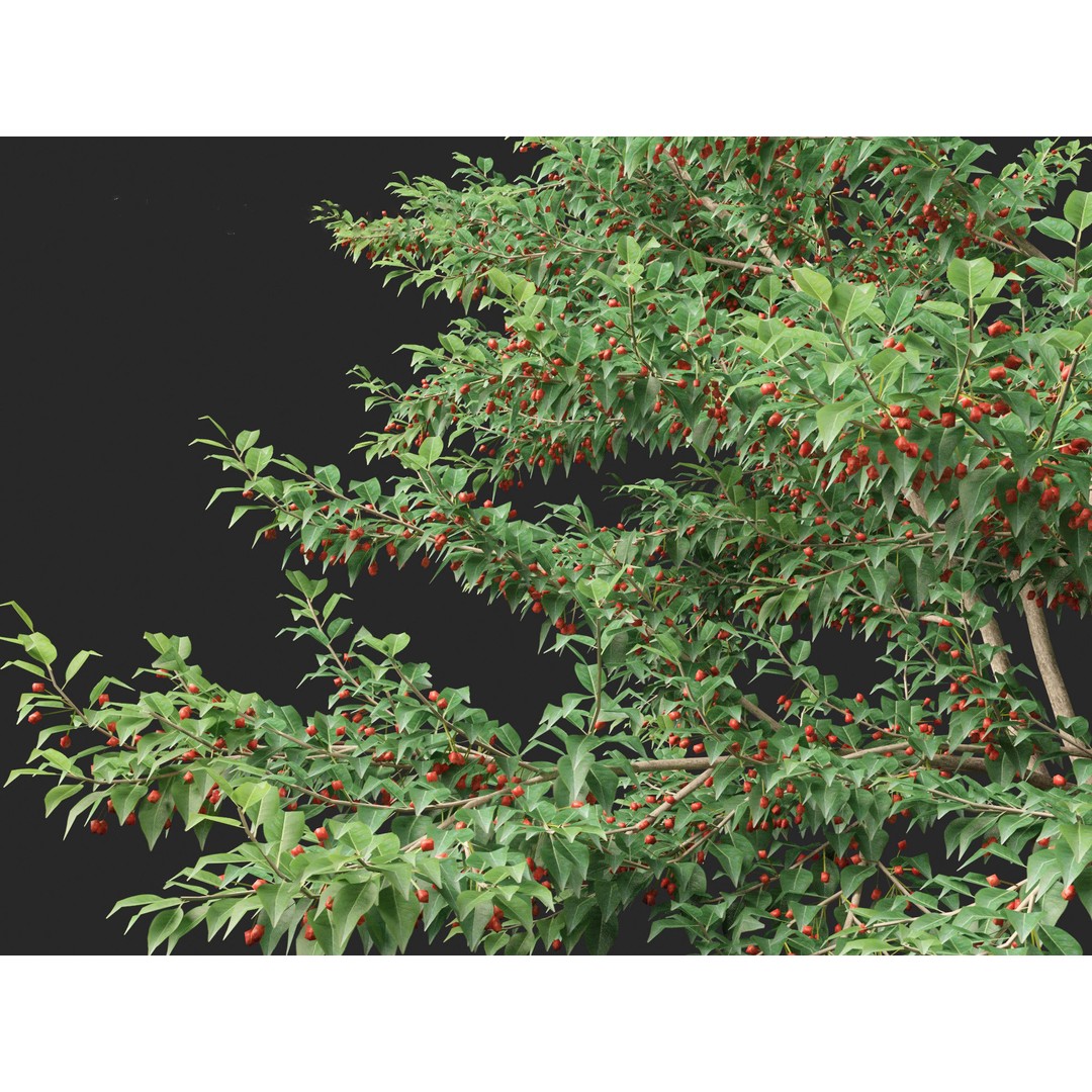 Ilex pedunculosa 3D Model – Realistic Bush Asset, FBX, PBR - View 6