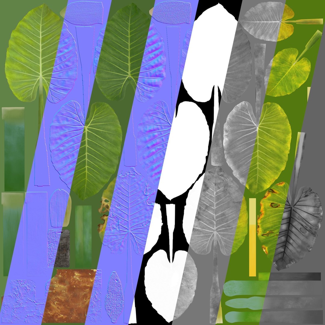 Alocasia 3D Model – Low Poly Plant Collection, Blender, FBX, OBJ