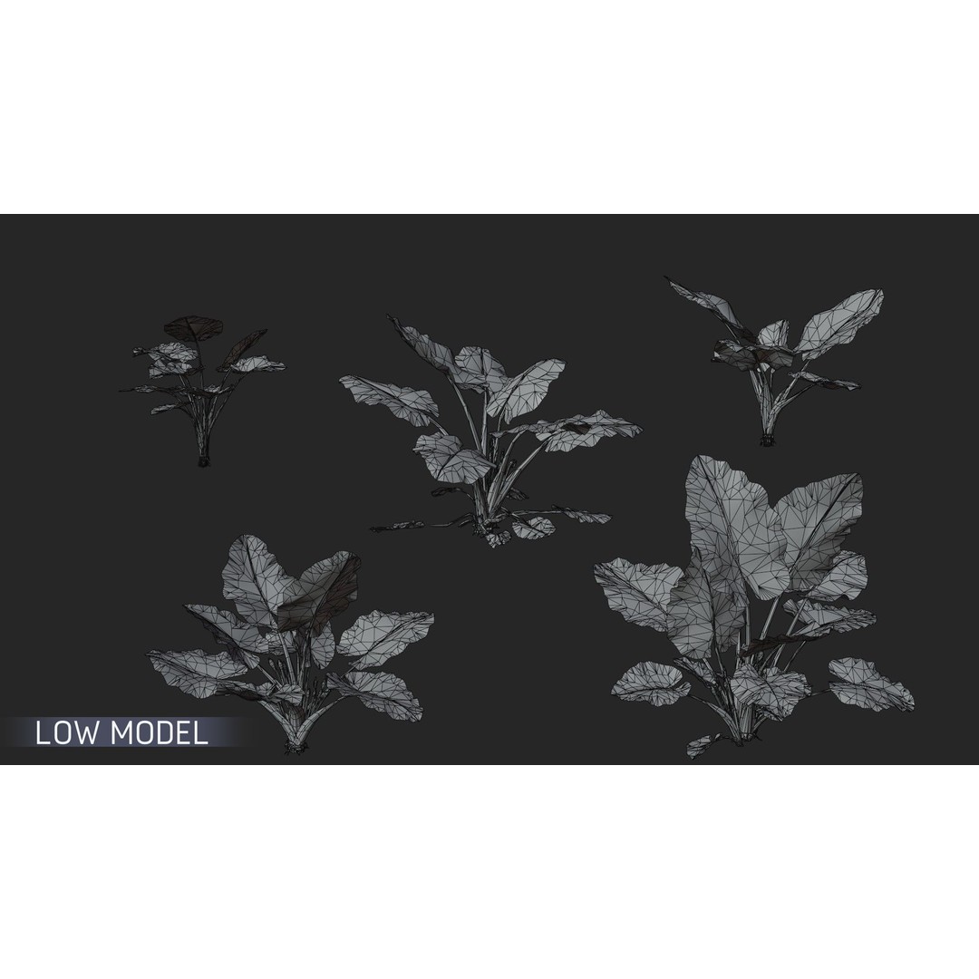 Alocasia 3D Model – Low Poly Plant Collection, Blender, FBX, OBJ - View 10