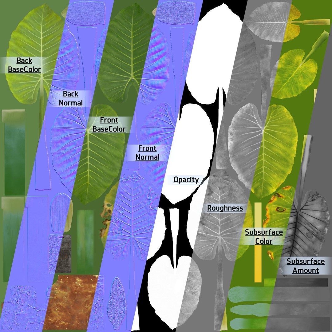 Alocasia 3D Model – Low Poly Plant Collection, Blender, FBX, OBJ - View 12