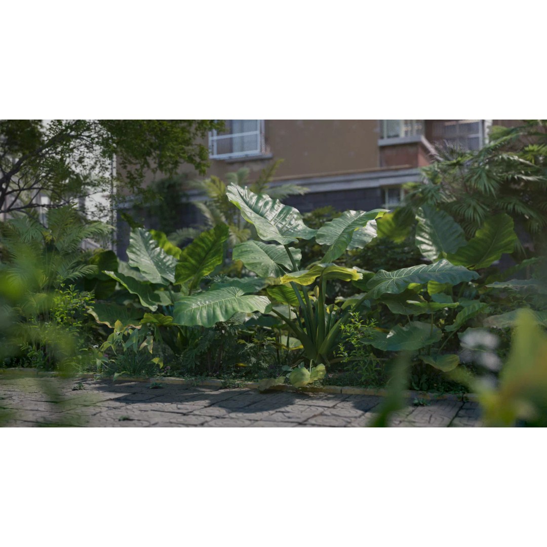 Alocasia 3D Model – Low Poly Plant Collection, Blender, FBX, OBJ - View 2