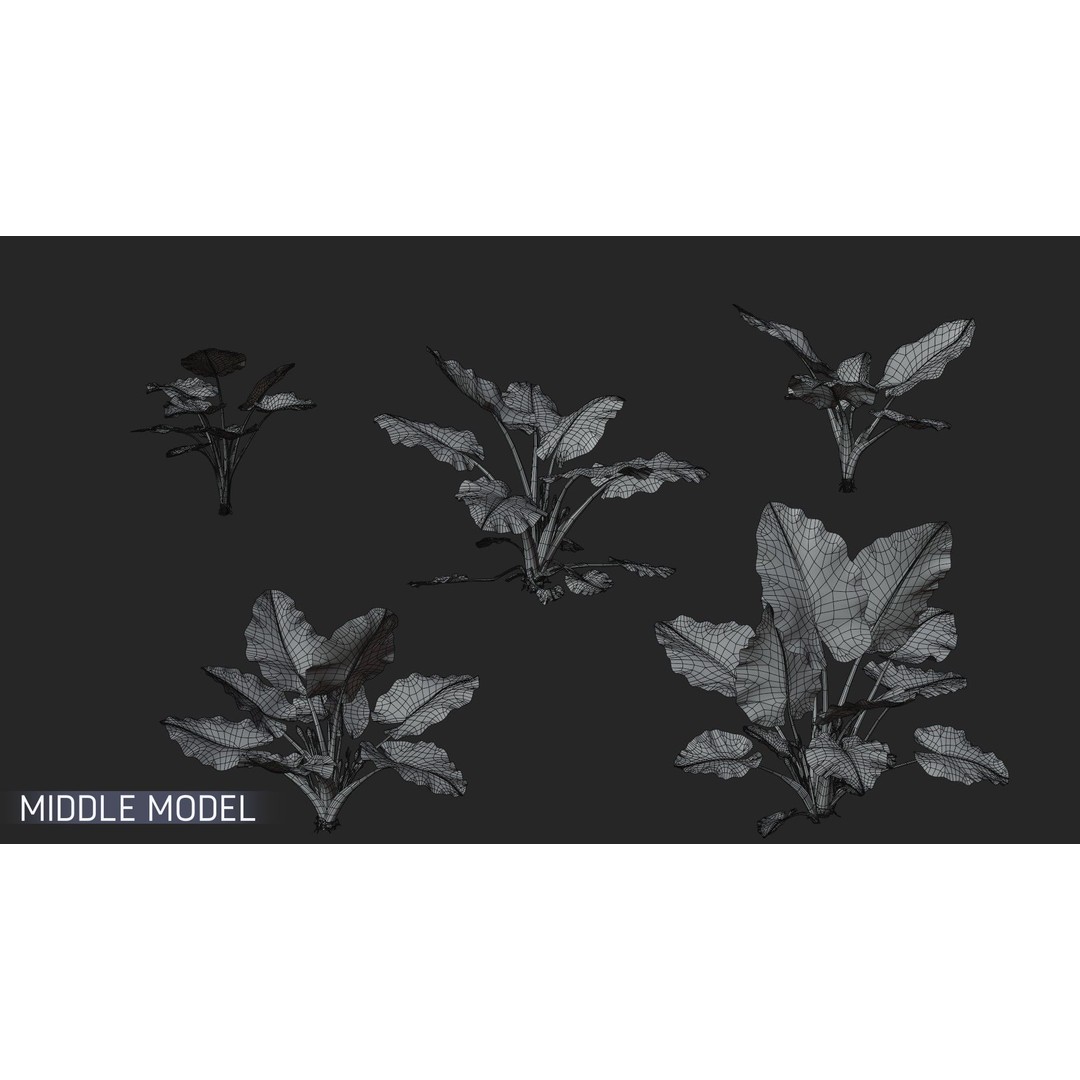 Alocasia 3D Model – Low Poly Plant Collection, Blender, FBX, OBJ - View 9