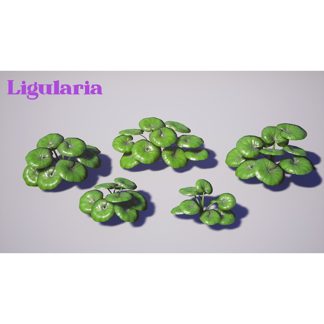 Garden Foliage 3D Model – Low Poly Game Ready Plants, FBX - View 8