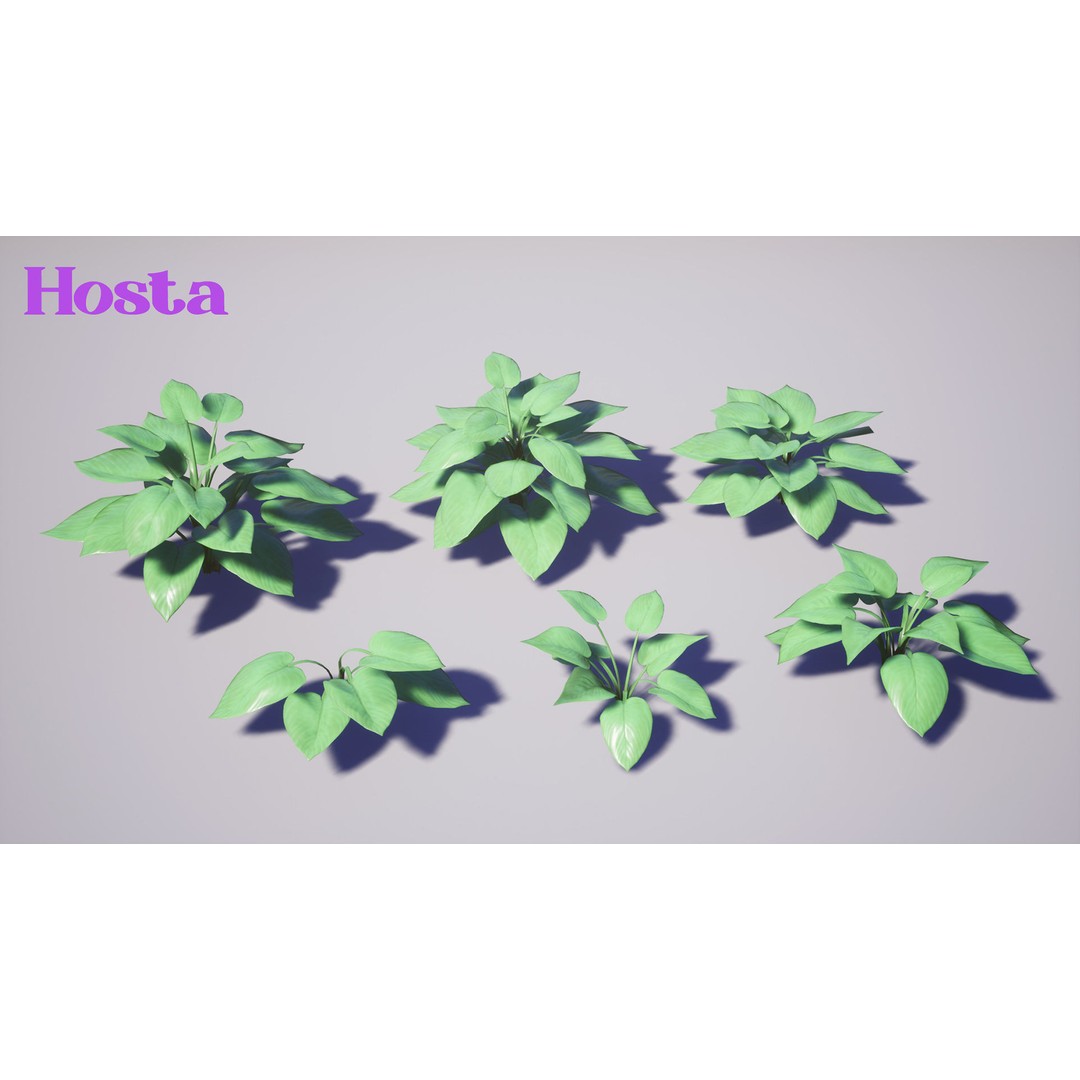 Garden Foliage 3D Model – Low Poly Game Ready Plants, FBX - View 9