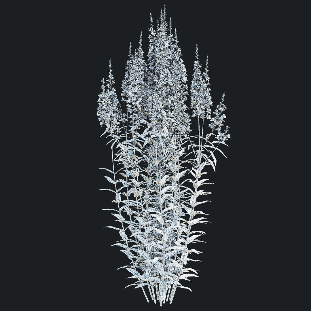 Lythrum Salicaria 3D Model – High Poly Plant Asset, FBX & OBJ Formats - View 12