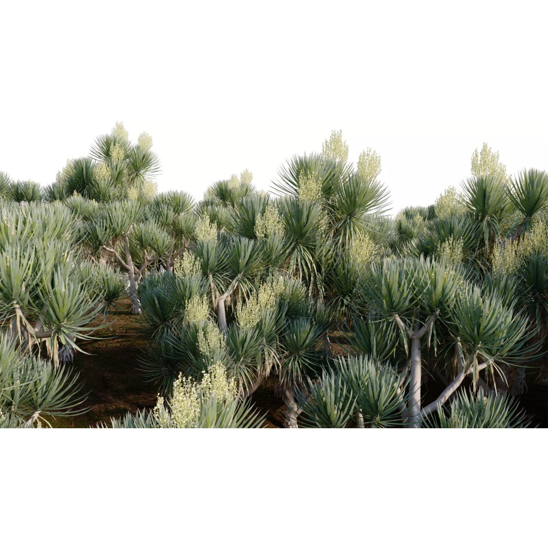 Dracaena 3D Model – Low Poly Thai Dragon Tree with PBR Textures - View 6