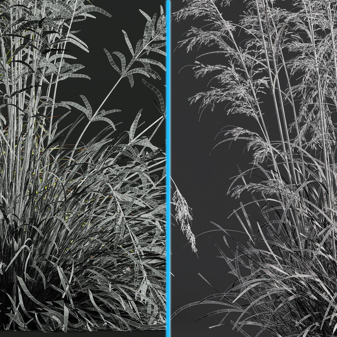 Celtica Gigantea Stipa Golden and Sweet Grass 3D Model – High Poly PBR Asset, FBX, OBJ