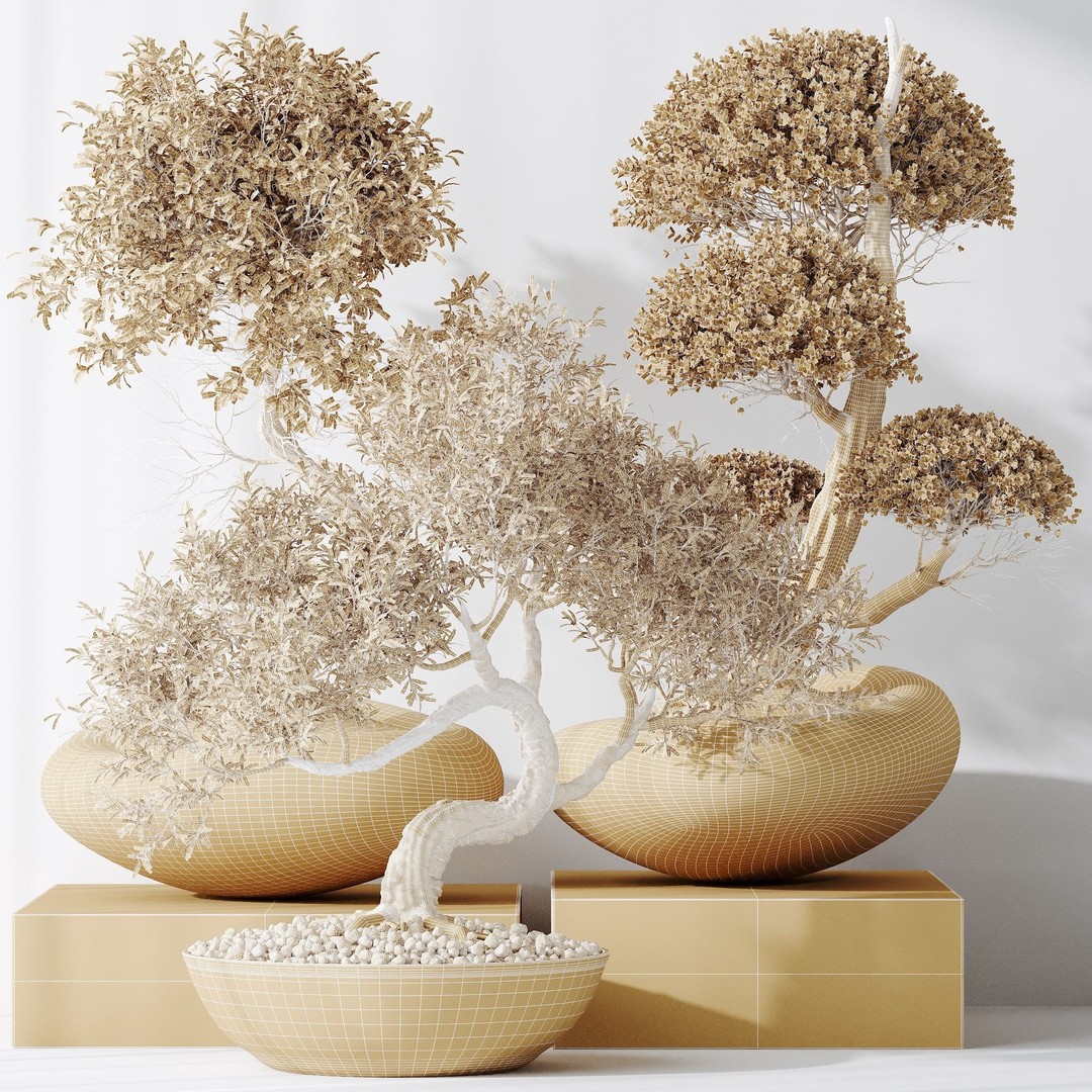 Indoor Plants 3D Model – Olive & Bonsai Set, PBR Textures, FBX