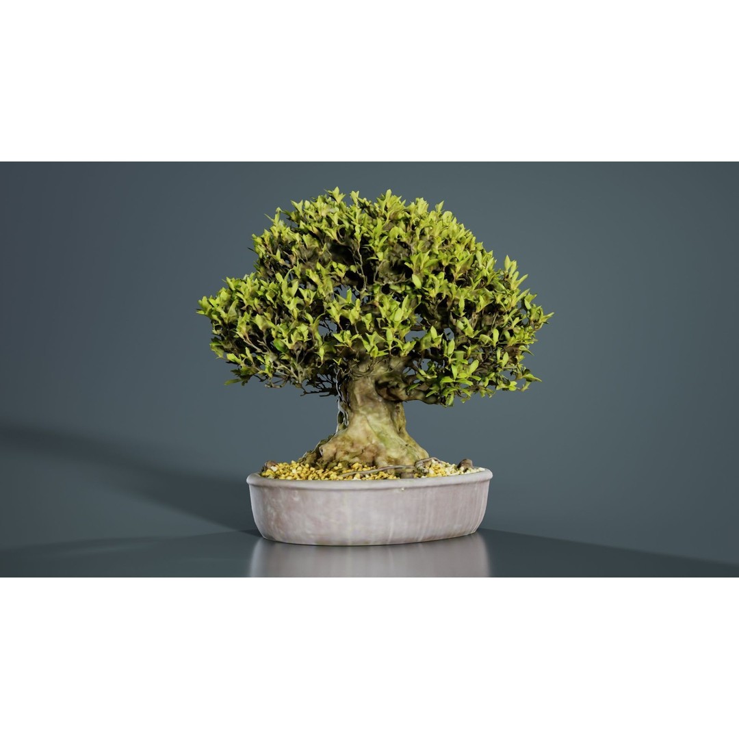 Satsuki Nikko Bonsai Tree 3D Model – Low Poly PBR Asset, FBX, OBJ - View 10