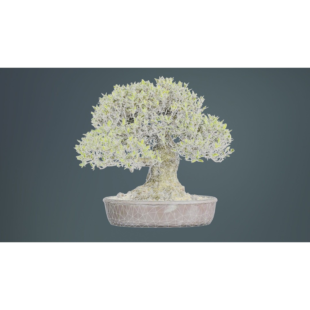 Satsuki Nikko Bonsai Tree 3D Model – Low Poly PBR Asset, FBX, OBJ - View 11