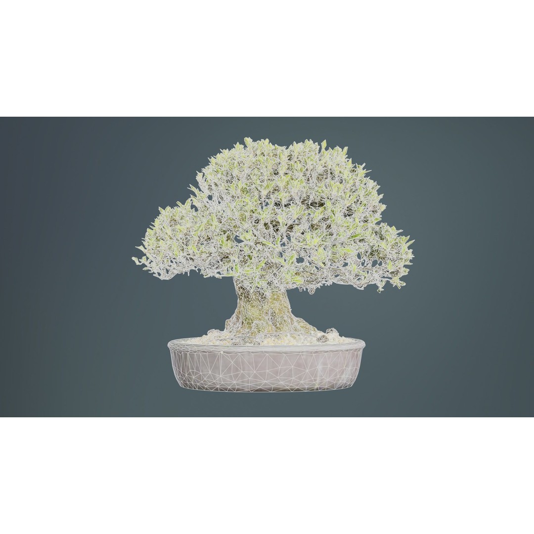 Satsuki Nikko Bonsai Tree 3D Model – Low Poly PBR Asset, FBX, OBJ - View 12