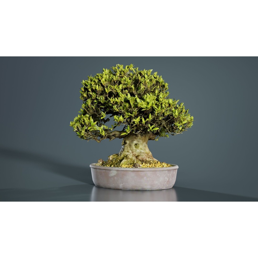 Satsuki Nikko Bonsai Tree 3D Model – Low Poly PBR Asset, FBX, OBJ - View 8