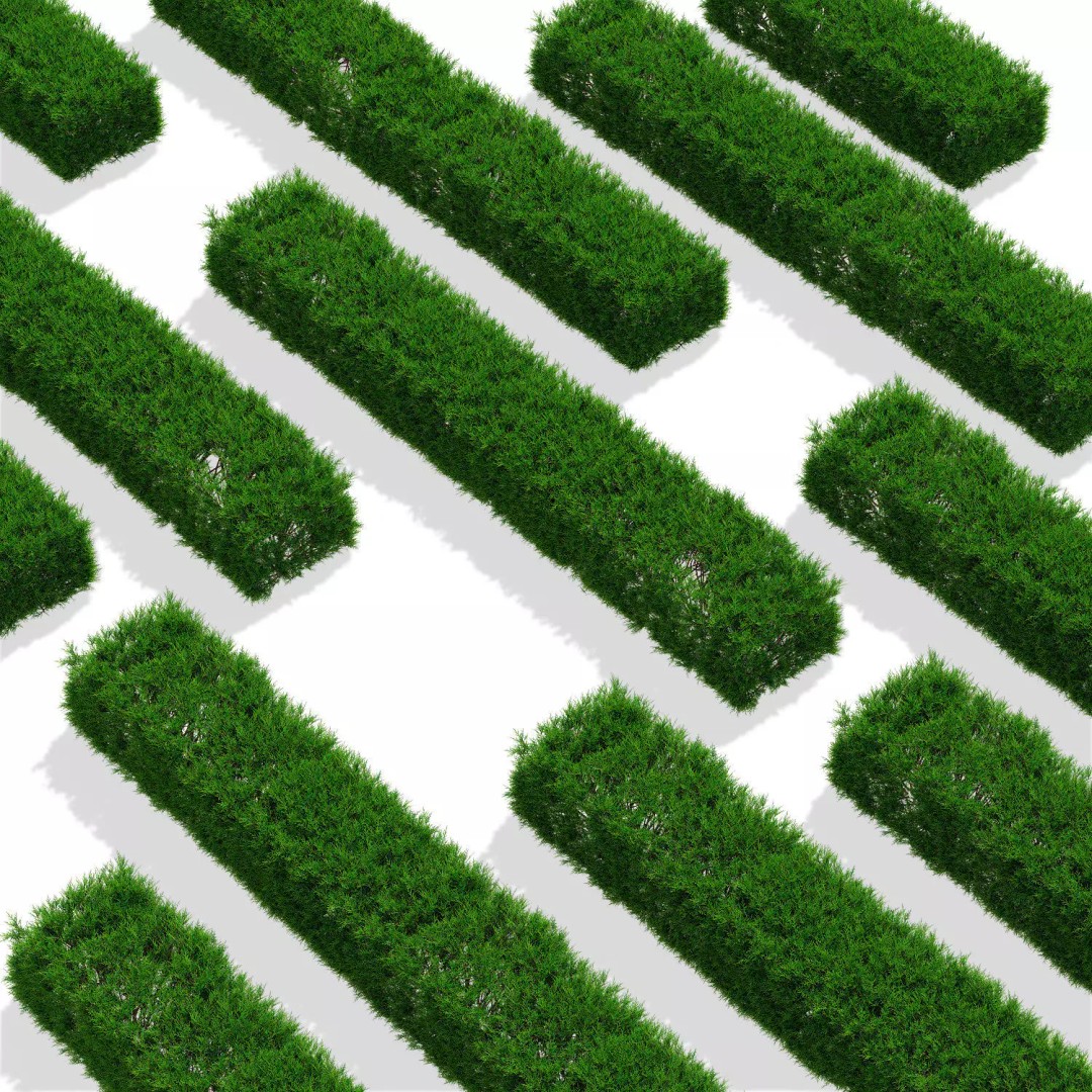 Juniperus Sabina Hedge 3D Model – High Poly PBR Asset, FBX, OBJ