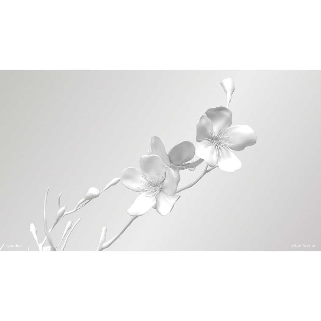 Sakura Branch 3D Model – Low Poly PBR Game Asset, FBX & OBJ - View 10