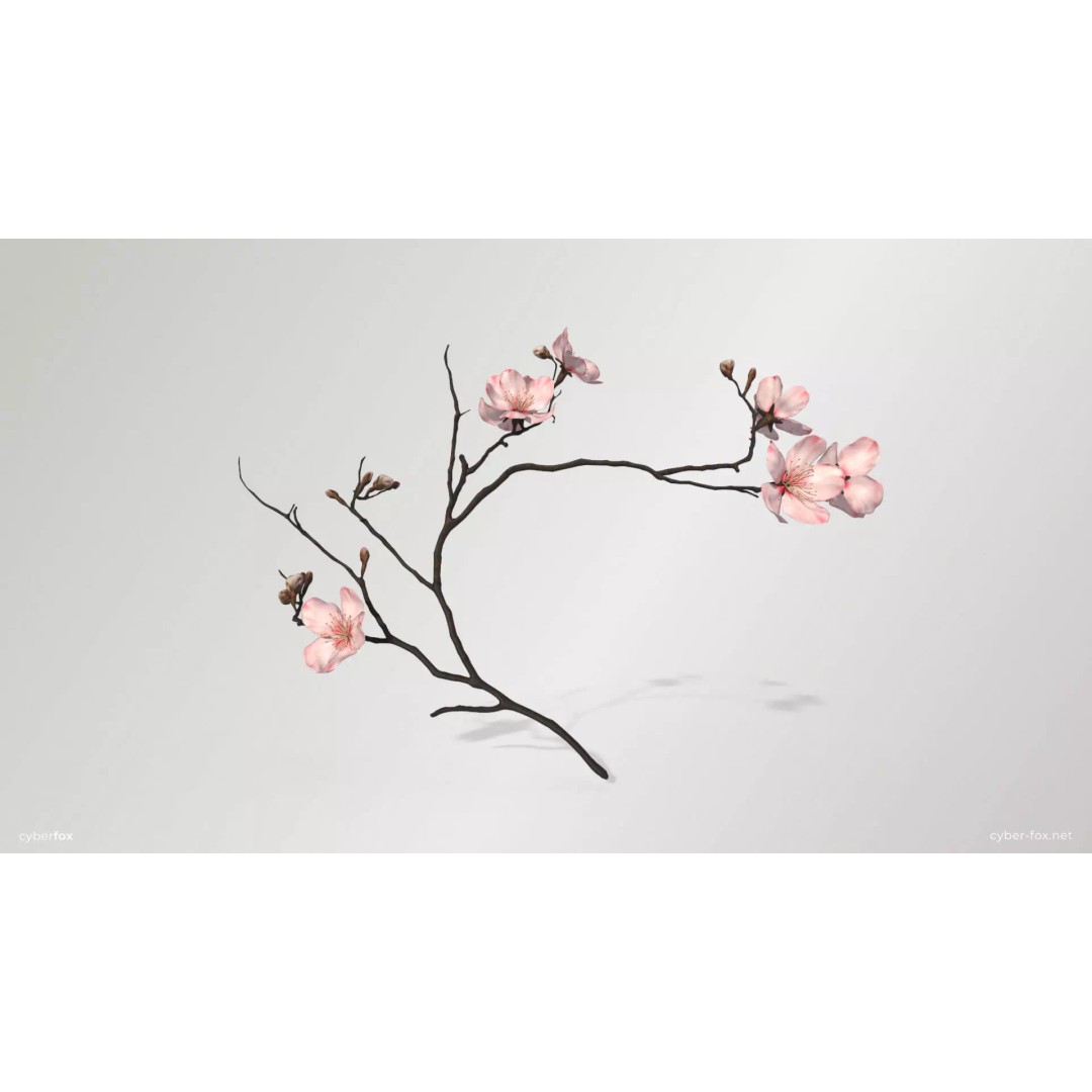 Sakura Branch 3D Model – Low Poly PBR Game Asset, FBX & OBJ - View 2