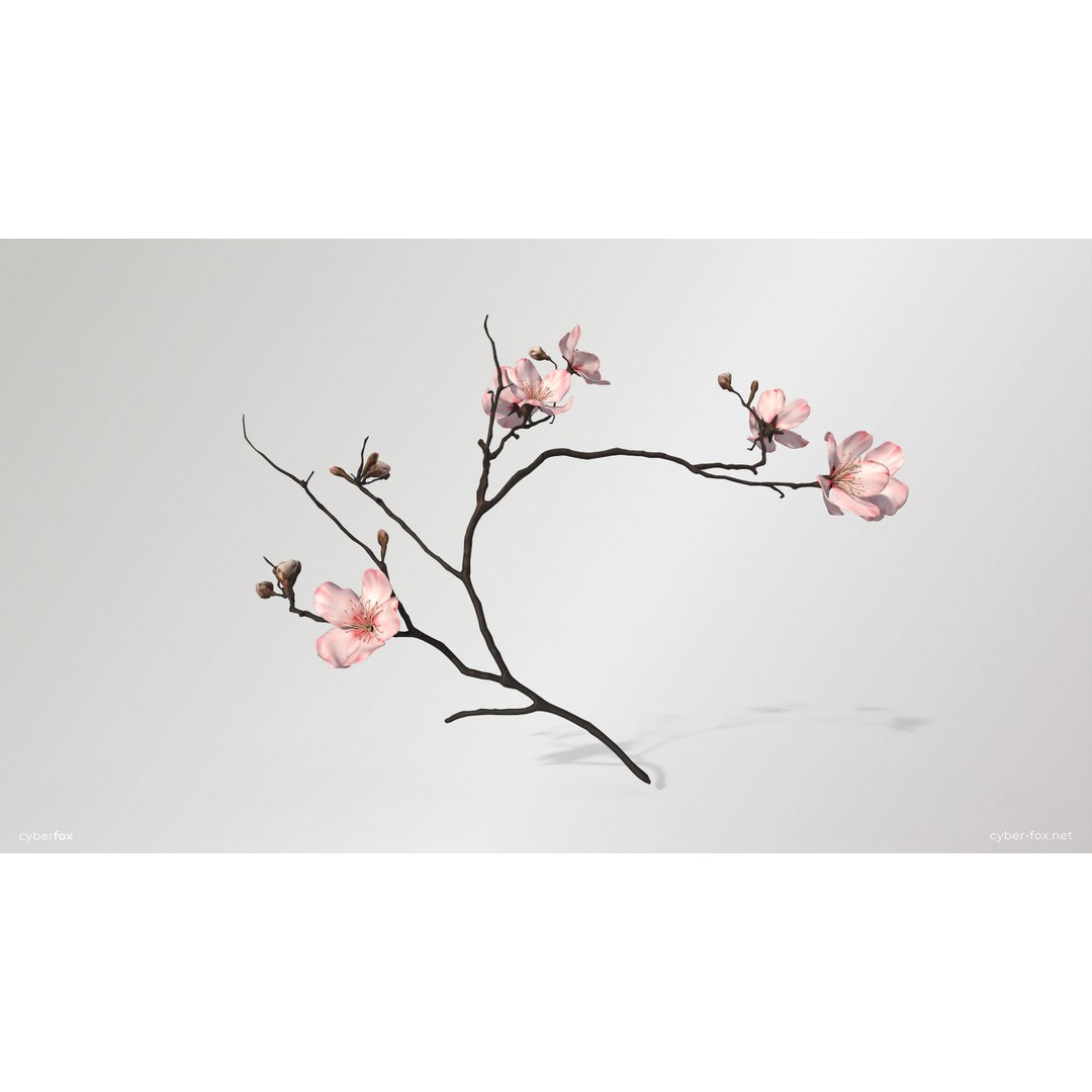 Sakura Branch 3D Model – Low Poly PBR Game Asset, FBX & OBJ - View 3