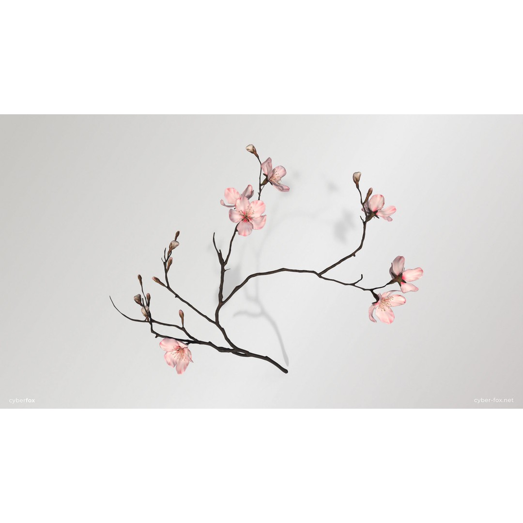 Sakura Branch 3D Model – Low Poly PBR Game Asset, FBX & OBJ - View 4