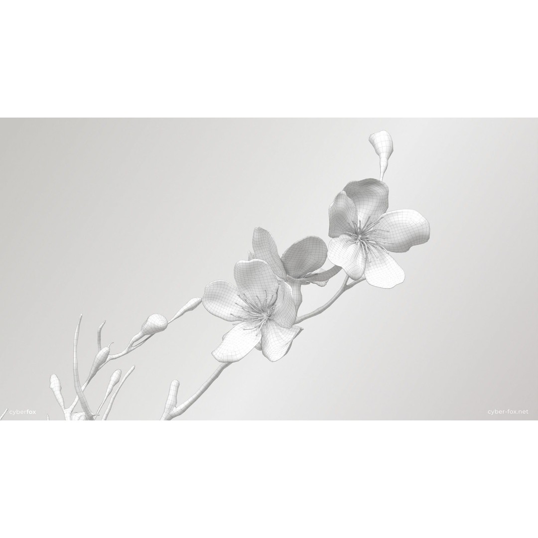 Sakura Branch 3D Model – Low Poly PBR Game Asset, FBX & OBJ - View 8
