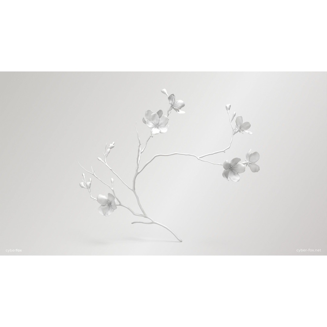 Sakura Branch 3D Model – Low Poly PBR Game Asset, FBX & OBJ - View 9