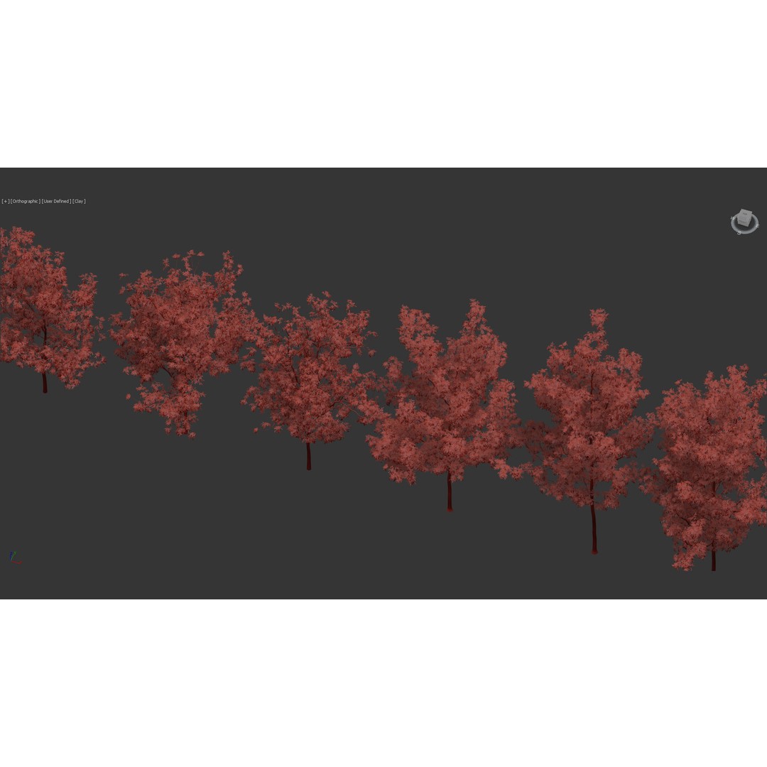 Fraxinus Excelsior 3D Model – Realistic Common Ash with PBR Textures