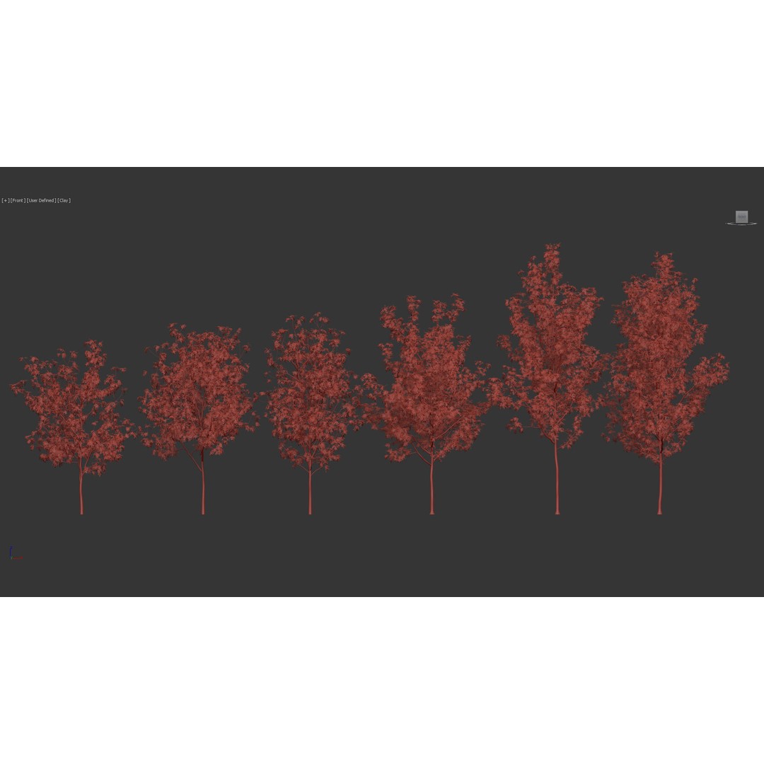 Fraxinus Excelsior 3D Model – Realistic Common Ash with PBR Textures - View 11