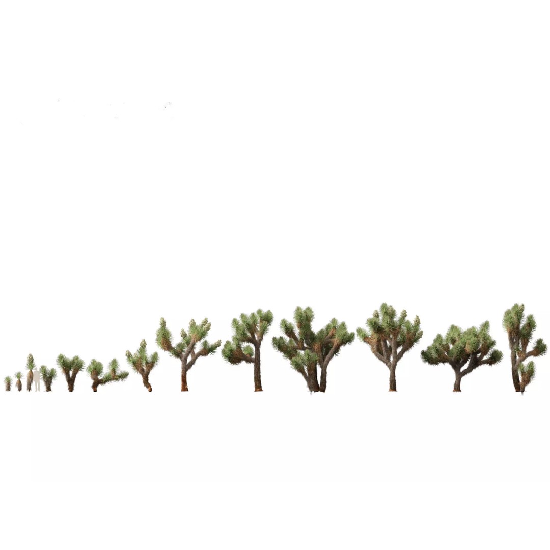 Succulents 3D Model – High Poly Desert Plants Pack, FBX, Blender - View 26