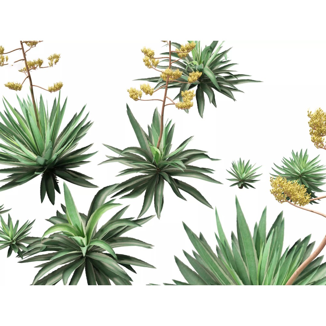 Succulents 3D Model – High Poly Desert Plants Pack, FBX, Blender - View 9
