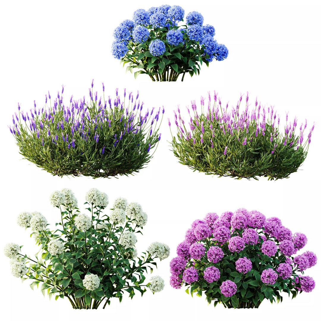 Smooth Wild Hydrangea & Lavandula 3D Model – High Poly PBR Assets for Archviz - View 10