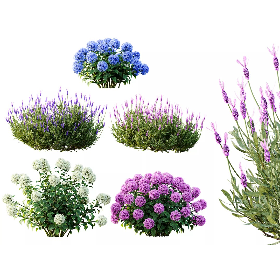 Smooth Wild Hydrangea & Lavandula 3D Model – High Poly PBR Assets for Archviz - View 2