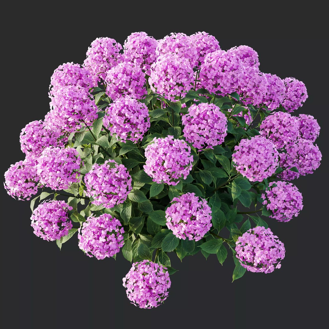 Smooth Wild Hydrangea & Lavandula 3D Model – High Poly PBR Assets for Archviz - View 5