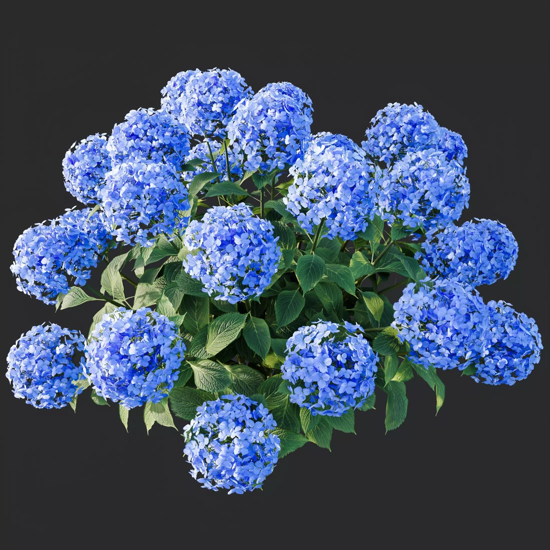 Smooth Wild Hydrangea & Lavandula 3D Model – High Poly PBR Assets for Archviz - View 7