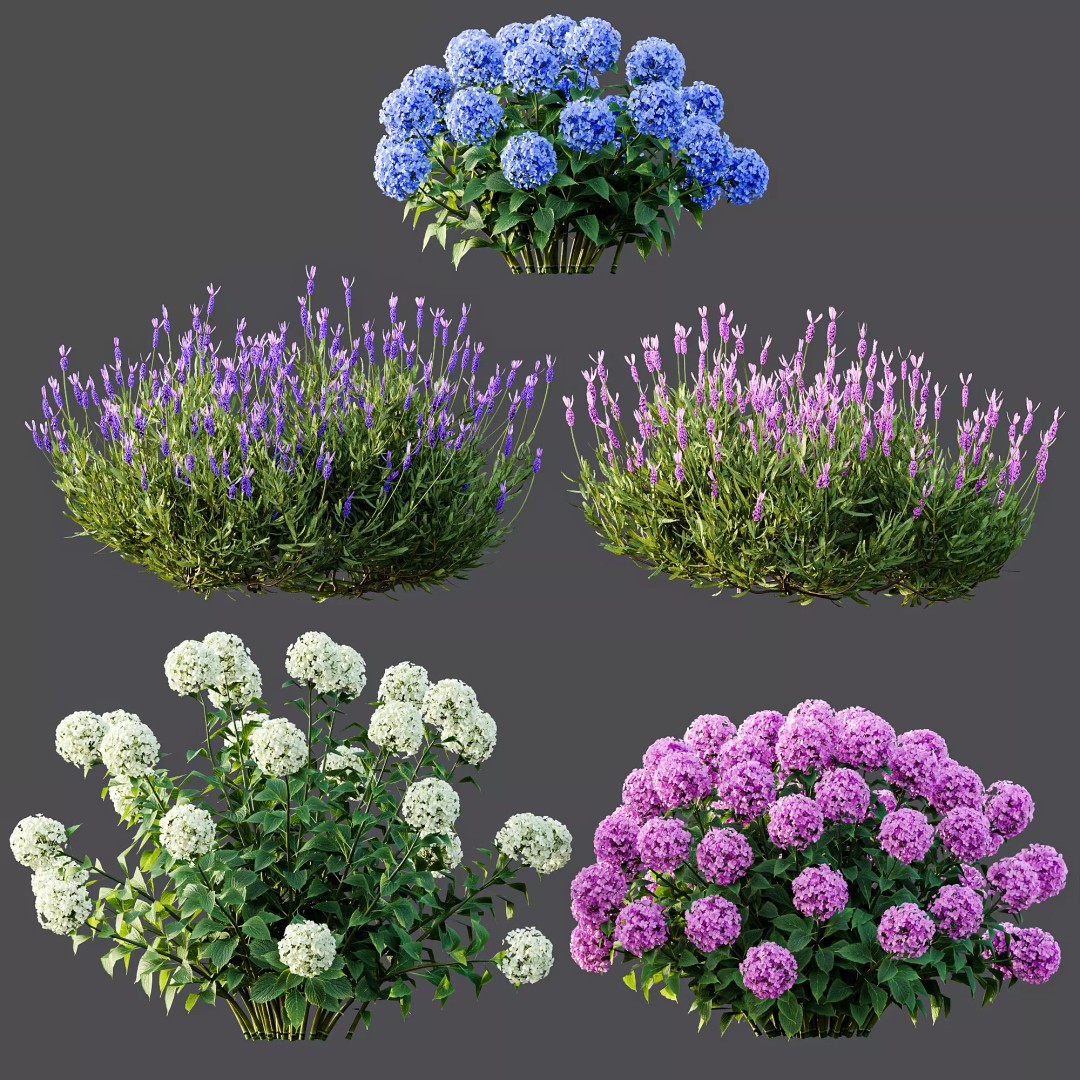 Smooth Wild Hydrangea & Lavandula 3D Model – High Poly PBR Assets for Archviz - View 9