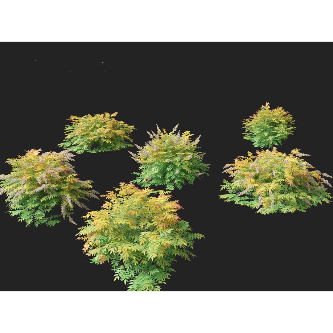 Sorbaria Sorbifolia 3D Model – Detailed Plant Asset, FBX, PBR - View 10
