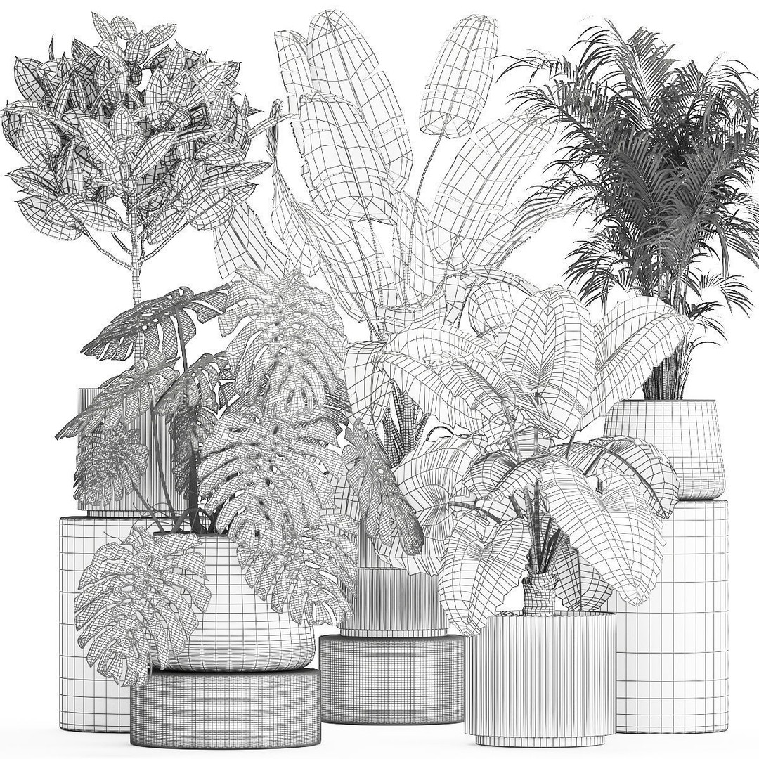 Beautiful Plant 3D Model – Decorative Indoor & Outdoor Pots, FBX