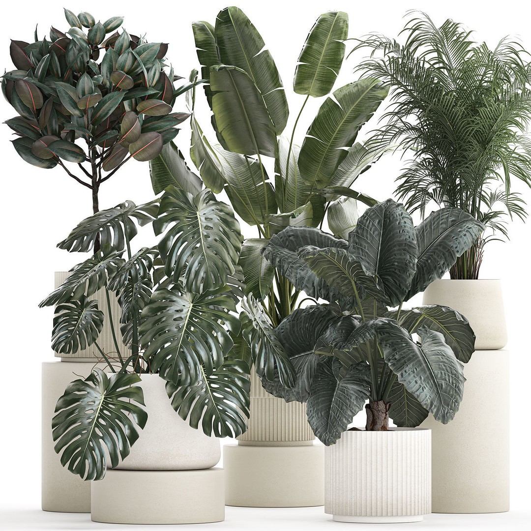 Beautiful Plant 3D Model – Decorative Indoor & Outdoor Pots, FBX - View 10