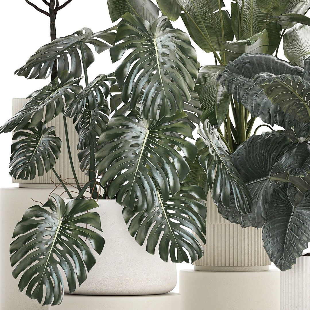 Beautiful Plant 3D Model – Decorative Indoor & Outdoor Pots, FBX - View 11