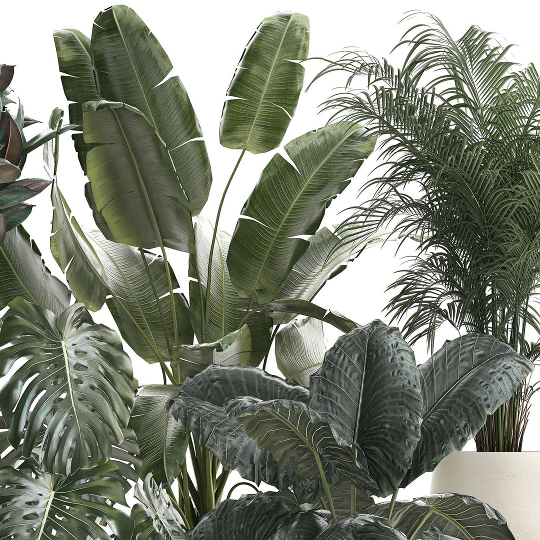 Beautiful Plant 3D Model – Decorative Indoor & Outdoor Pots, FBX - View 12