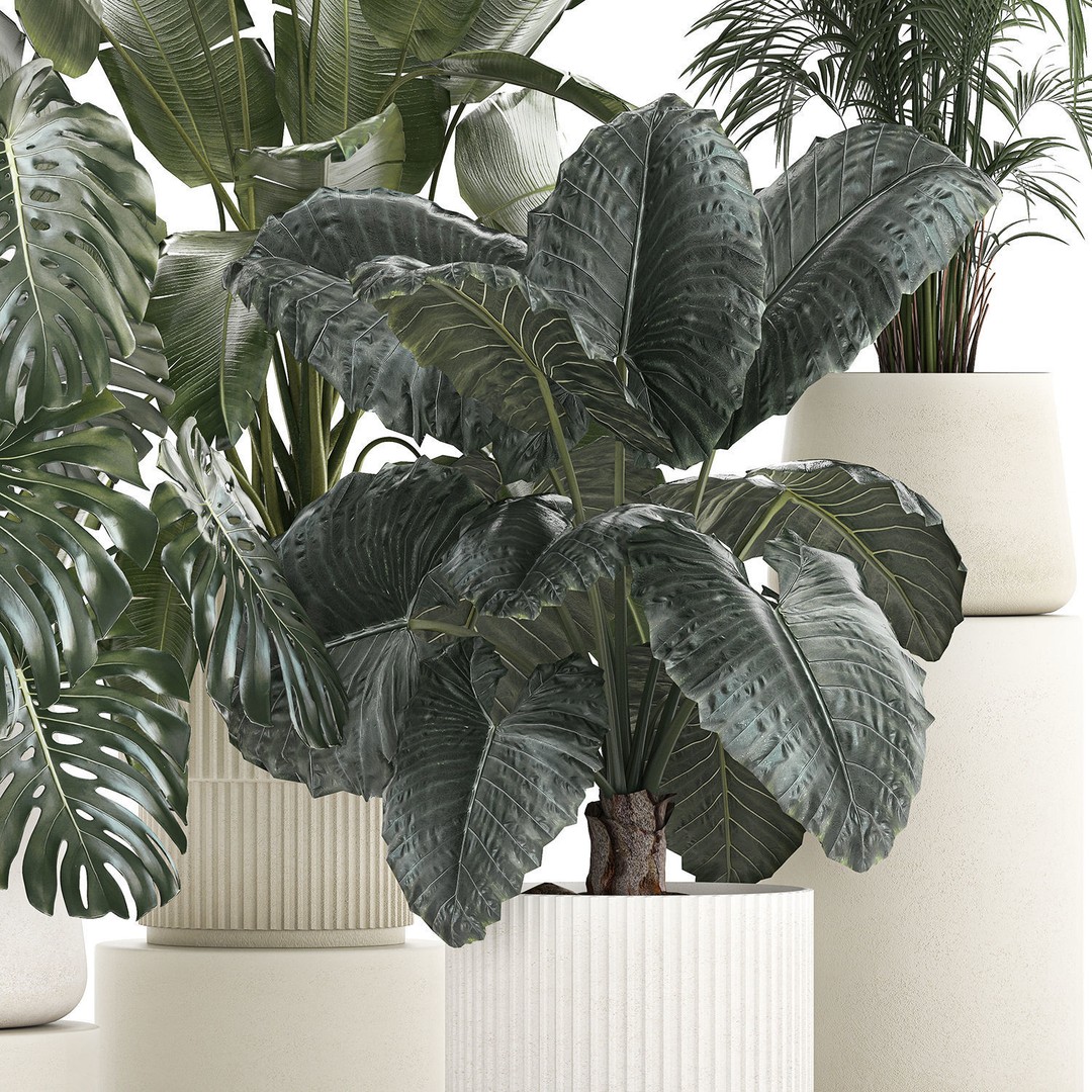 Beautiful Plant 3D Model – Decorative Indoor & Outdoor Pots, FBX - View 13