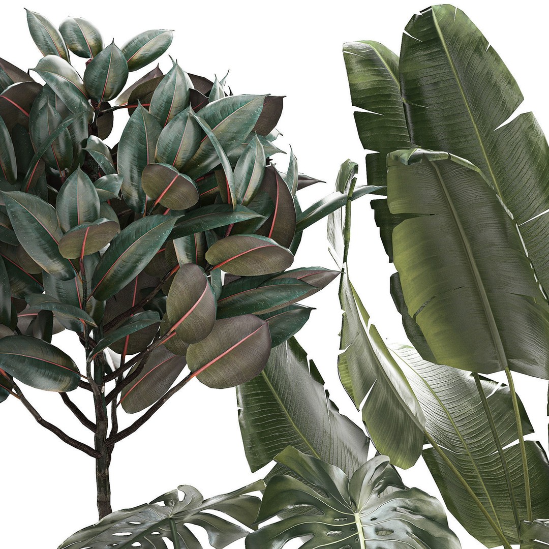 Beautiful Plant 3D Model – Decorative Indoor & Outdoor Pots, FBX - View 14
